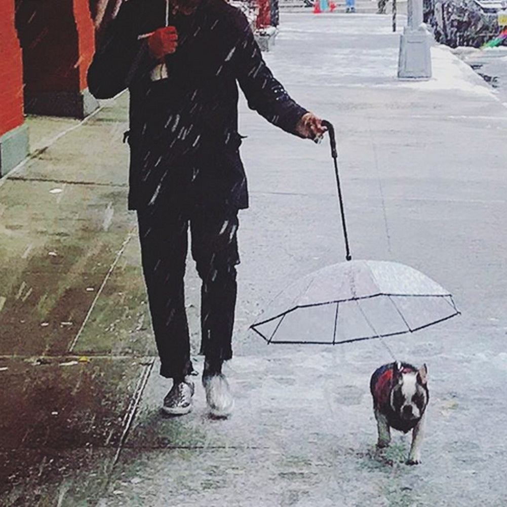 Dog umbrella handle and chain