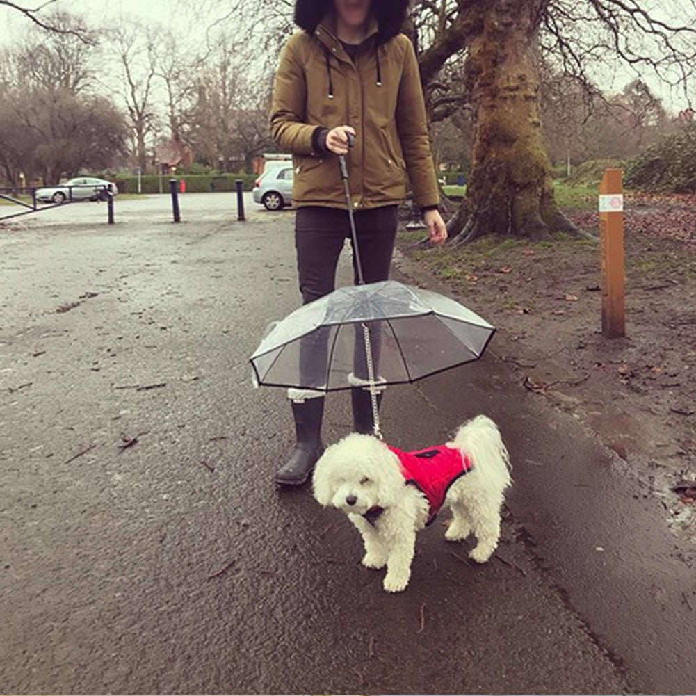 Dog umbrella folded
