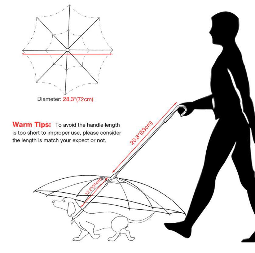 Dog umbrella attached to leash
