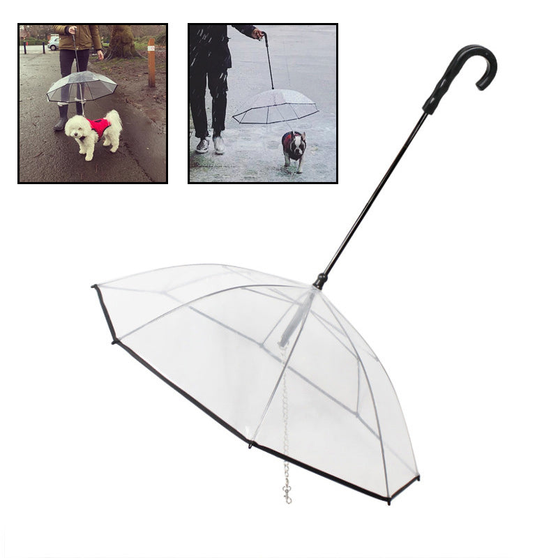 Small dog walking under a clear dog umbrella
